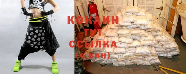 Альфа ПВП Аркадак