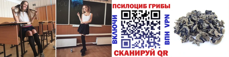 Псилоцибиновые грибы Cubensis Серафимович